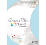 Etui de 5 cartes pliées grain de pollen 148 5x210 bleu celeste clairefontaine