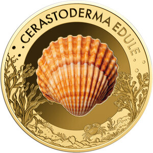 Monnaie COMMON COCKLE Sea Creatures 1/1000 Oz Or 3000 Francs Chad (PRÉCOMMANDE)