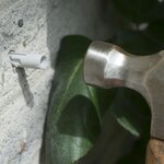 Nature Ensemble de treillis métallique pour plantes grimpantes 2 Pièces