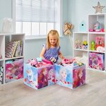 Disney La Reine des Neiges - Cubes de rangement pour jouets enfants