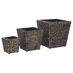 vidaXL Lits surélevés 3 Pièces Jacinthe d'eau Marron