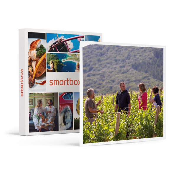 SMARTBOX - Coffret Cadeau Cours d’œnologie d’1h45 au domaine Joseph Lafarge en Bourgogne -  Gastronomie