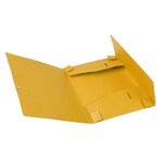 Boite de classement Cartobox Dos 25mm Carte lustrée Nature Future® Jaune EXACOMPTA