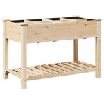 vidaXL Cache-pot de jardin avec étagère Beige 115 x 59 x 76.5 cm