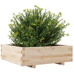 vidaXL Jardinière 80x80x26 5 cm bois de pin massif
