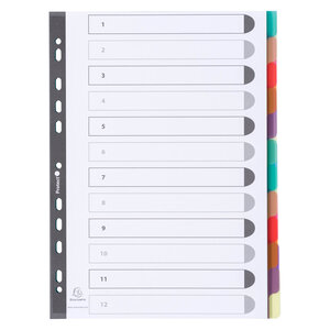Intercalaire a4 polypropylène coloré translucide exacompta 12 onglets neutres réinscriptibles multicolores - 1 jeu