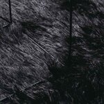 vidaXL Tapis shaggy à poils longs NAVARRA noir 120x120 cm polyester