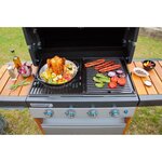 CAMPINGAZ Plat de cuisson verticale pour volaille - Inox - 31 x 37 cm