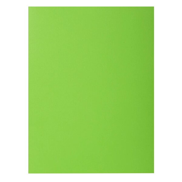 Paquet De 10 Chemises Rock''s 210 - 24x32cm - Vert - X 10 - Exacompta