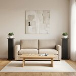 vidaXL Support de Plante 2 pc Noir 30 5 x 30 x 100 5 cm