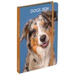 Agenda de poche 2025 - Danse - Draeger