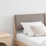 vidaXL Tête de lit capitonnée Taupe 160 cm Pin massif