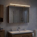 vidaXL Armoire Miroir de Salle de Bain Bois ancien 100 x 14 5 x 70 cm