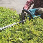 Makita Taille-haie 550 W 55 cm Bleu et noir