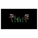 10315 Le jardin paisible  ® Icons