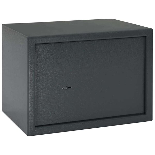 vidaXL Coffre-fort Gris foncé RAL7016 25 x 35 x 25 cm Acier