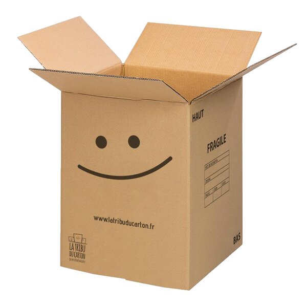 Lot de 10 grands Cartons ultra renforcés charge lourde