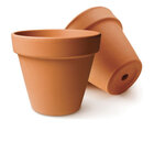 Pots de fleurs en terre cuite Ø10 cm 10 pièces