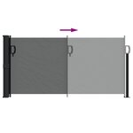 vidaXL Store latéral rétractable Anthracite 100x300 cm