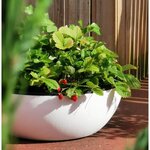 RIVIERA - Coupe pot de fleurs - granit D50 - blanc