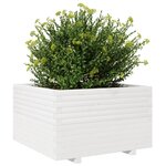 vidaXL Jardinière blanc 80x80x49 5 cm bois de pin massif