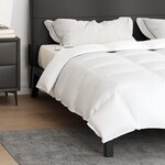 vidaXL Couettes & Duvets Blanc 240 x 220 cm Bas