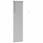 vidaXL Store de Fenêtre avec des rideaux Manuel Argent Aluminium