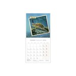 Calendrier illustré souple 'Couleurs Sauvages' 30 x 30 cm BOUCHUT