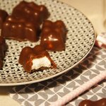 2 moules en silicone oursons guimauve-chocolat