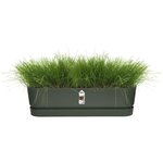 Planteur Ovale - Plastique - Ø 50 - Noir