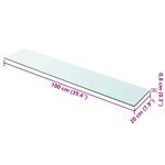 vidaXL Panneau pour étagère Verre transparent 100 x 20 cm