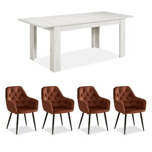 Table repas extensible 160x90 4 chaises velours marron