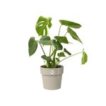 B.for Original Rond 30 gris chaud