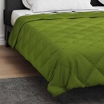 vidaXL Duvet complet toute l'année Vert 200 x 200 cm Microfibre