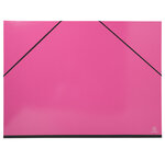 Carton à dessins avec élastiques IDERAMA - Raisin x 5 EXACOMPTA