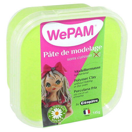 Porcelaine froide à modeler wepam 145 g anis