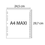 Intercalaires Imprimés Mensuels Pp Recyclé Gris Janvier-décembre 12 Positions - A4 Maxi - Gris - X 10 - Exacompta