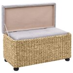 vidaXL Ensemble de banc lot de 2 Jacinthe d'eau Gris