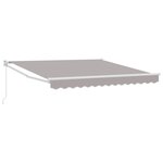 Auvent Rétractable Manuel vidaXL Gris Clair 300x250 cm
