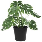 vidaXL Pot à fleurs rond 24 Pièces Noir Ø 17 x 14 cm Plastique