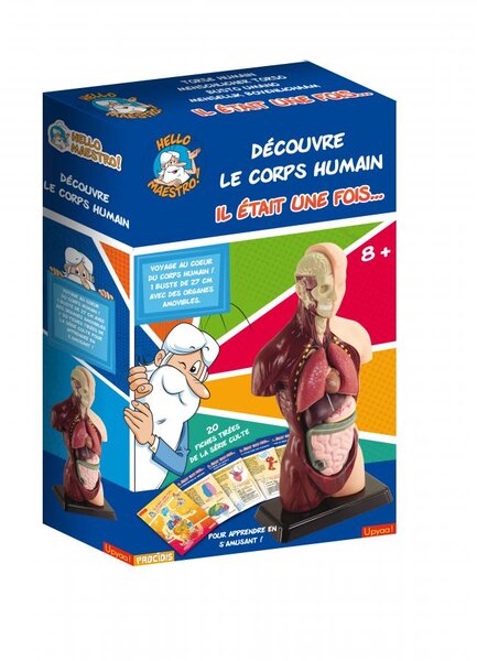 Decouvre le corps humain avec hello maestro - il etait une fois la vie