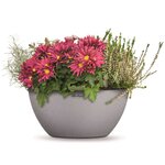LECHUZA Jardinière CUBETO Stone 40 ALL-IN-ONE gris pierre 13840