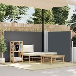 vidaXL Auvent latéral rétractable Anthracite 120 x 600 cm