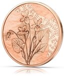 Pièce de monnaie 10 euro Autriche 2024 – Violette