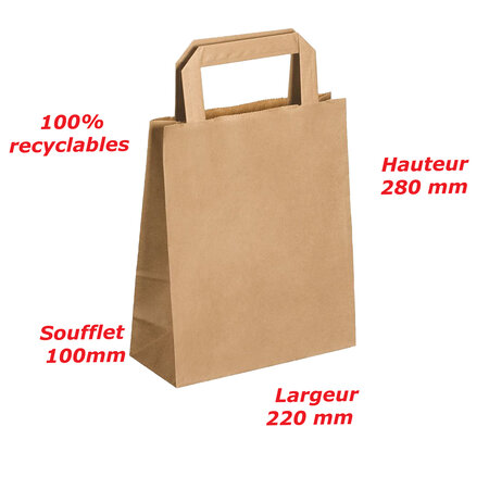 Lot de 25 sacs cabas en papier kraft brun marron havane avec poignée plate 220 x 100 x 280 mm 6 Litres résistant papier 80g/m² non imprimé