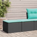 vidaXL Salon de jardin avec coussins 2 Pièces noir résine tressée acacia