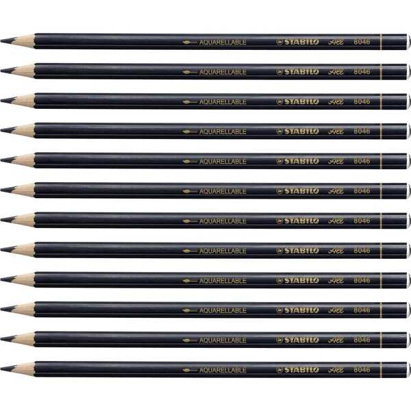 Crayon de Couleur Aquarellable ALL Toutes Surfaces Noir x 12 STABILO