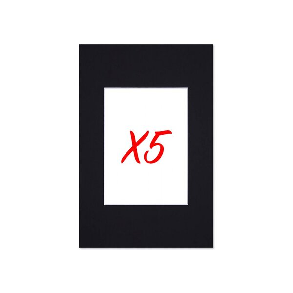 Lot de 5 passe-partouts standard noir pour cadre et encadrement photo - Nielsen - Cadre 20 x 30 cm - Ouverture 12 x 17 cm