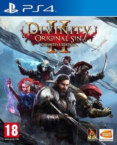 Jeu ps4 divinity original sin 2 definitive edition