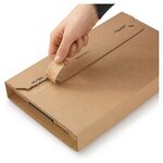 Etui postal carton brun avec fermeture adhésive raja standard 31x22 cm (lot de 25)